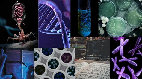 Science aesthetic i 2024