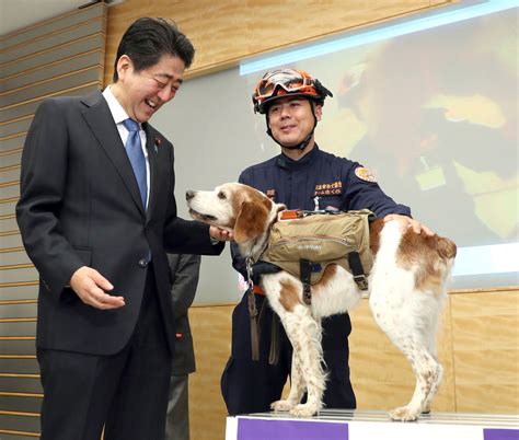 安倍晉三生前寵汪到19歲 遇襲驟逝鄰居憶：前天才看到夫妻倆遛狗 Ettoday寵物雲 Ettoday新聞雲