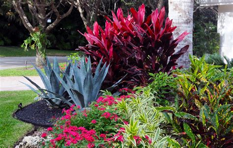 Colorful Curb Appeal In A Boca Raton Landscape Tropical Landscape