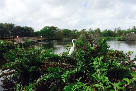 Wakodahatchee Wetlands - Visit Delray Beach