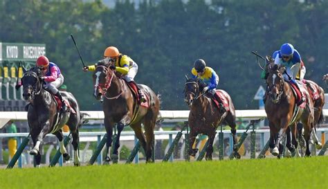 【京都新聞杯】ステイフーリッシュ混戦のダービーへ堂々名乗り 馬体戻し巻き返した競馬・レースデイリースポーツ Online