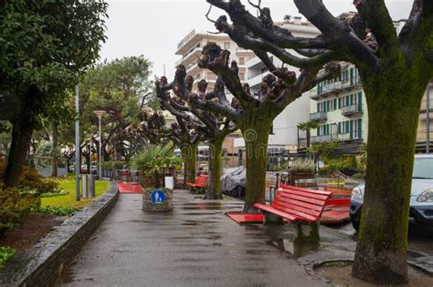 Naked Winter Public Stock Photos Free Royalty Free Stock Photos