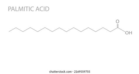 Palmitic Acid Molecular Skeletal Chemical Formula เวกเตอร์สต็อก ปลอด