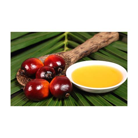 Red Palm Oil / Rbd Palm Oil / Palm Kernel Oil For Sale Palm Oil Factory