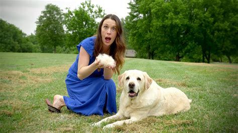 how to get rid of dog fur