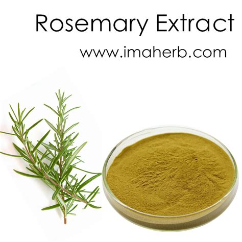 Rosemary Extract Rosemary Leaf Extract Rosmarinic Acid Ursolic Acid