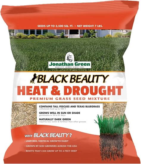 Jonathan Green 10515 Black Beauty Heat And Drought Grass Seed 7 Lbs Quantity 1