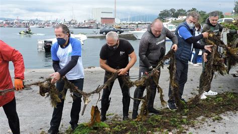 Voluntarios convocados por Abanca y Afundación recogen más de 1 000