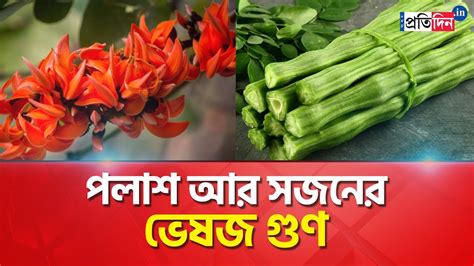 Health Benefits Of Drumsticks And Palash YouTube