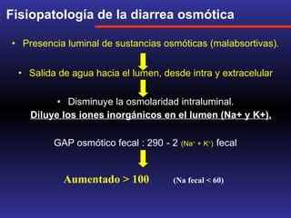 Fisiopatologia De La Diarrea Ppt