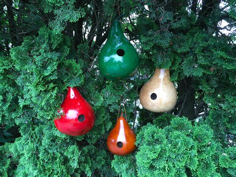 Gourd Birdhouses Special 4 Stained Handmade Etsy