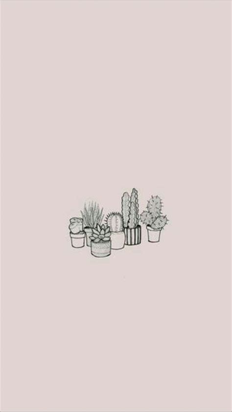 Cactus Aesthetic Wallpapers - Wallpaper Cave