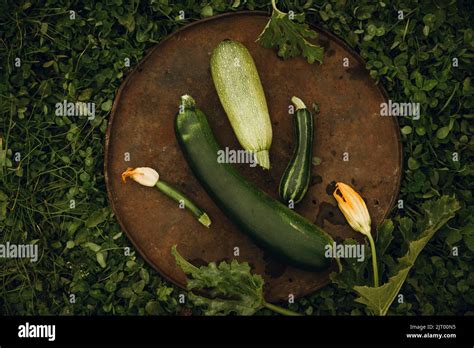 Zucchini Different In Color And Shape On A Metal Dish Against The