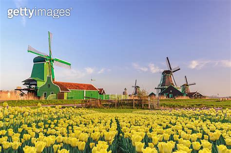 Amsterdam Netherlands Dutch Windmill And Traditional House At Zaanse