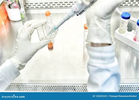 The Women Researcher Using Pipette And Cell Culture Flask Do The