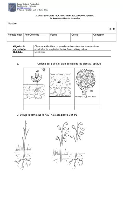 Evalaución Las Plantas Profe Social