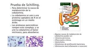 Sindrome De Malabsorcion Generalidades Y Conceptos Basicos Ppt