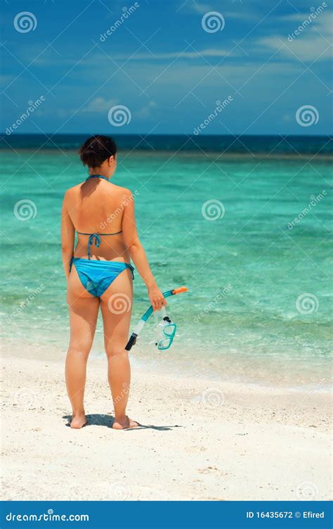 Snorkeling stock photo. Image of happiness, nature, idyllic - 16435672