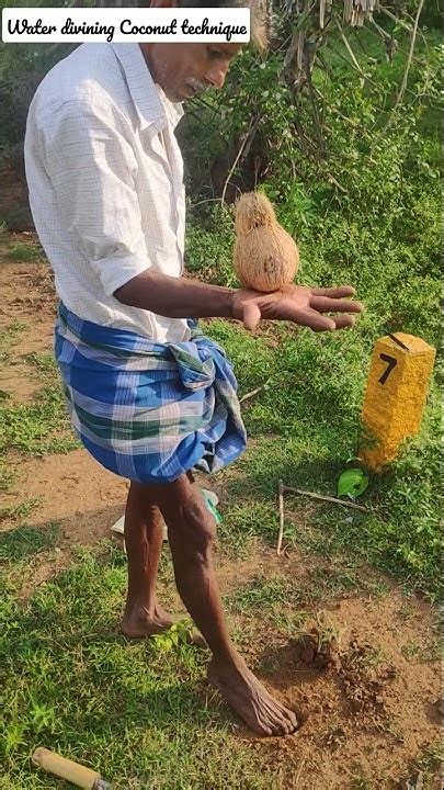 Water Divining Coconut Technique Freaking Scary Youtube