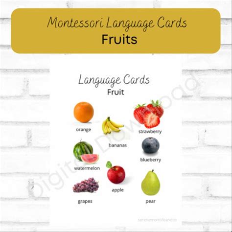 Montessori Language Cards Fruits Etsy