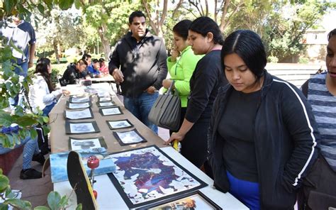 Festival Cultural Del Cetis En El Parque Fundadores El Sol De La