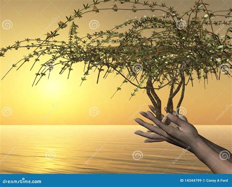 Embrace Of Life Stock Image Image Of Plant Bush Ocean 14344799