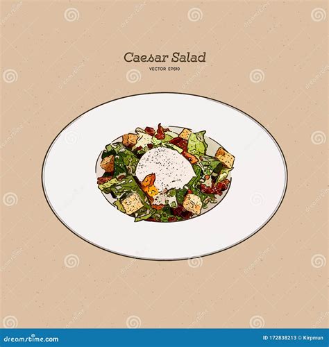 Caesar Salad Hand Draw Sketch Vector Stock Vector Illustration Of