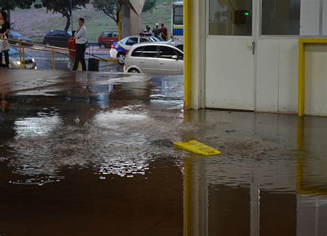 Temporal De Minutos Alaga Ruas E Casas Em Araraquara Sp Fotos Em