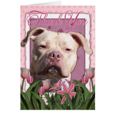 Thank You Pink Tulips Pitbull Jersey Girl Card Zazzle