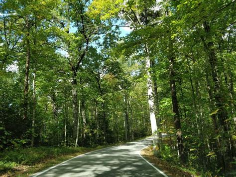 Red River Gorge Scenic Byway In Daniel Boone National Forest