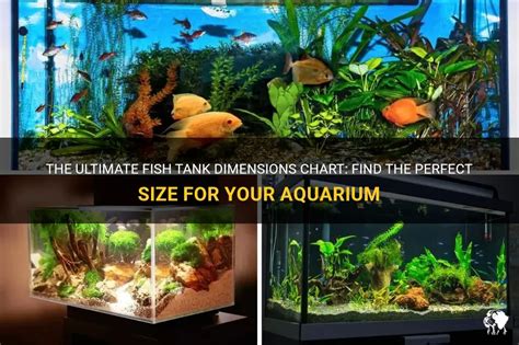 The Ultimate Fish Tank Dimensions Chart Find The Perfect Size For Your