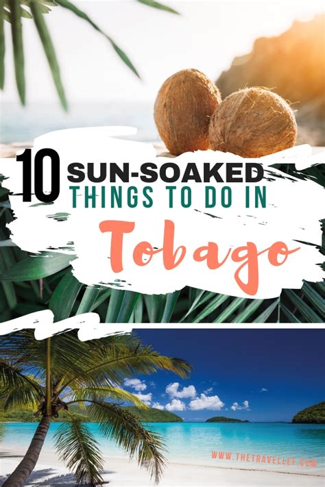 Top Ten Things To Do In Caribbean Island Tobago The Travel Leaf