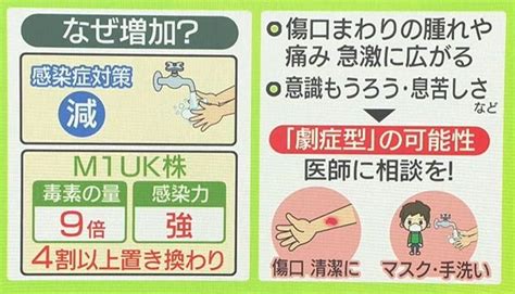 “人食い”の異名も──致死率3割「劇症型溶連菌」の感染、過去最多ペース 毒素「9倍」変異株が流入か 飛まつ感染も？（2024年5月30日掲載