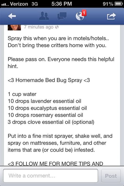 Homemade bed bug spray: … | Bed bug spray, Bed bugs essential oils, Bed ...