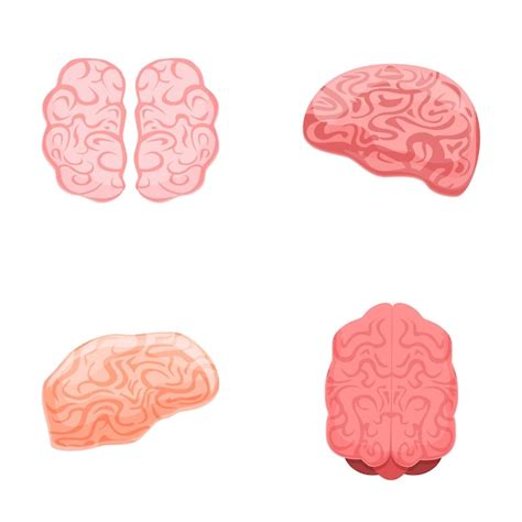 Los Iconos Del Cerebro Establecen El Vector De Dibujos Animados Del