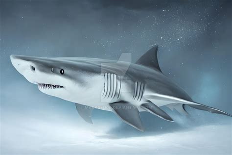 3d Snow And Ice Shark Fan Art 6 by MarkDeuce on DeviantArt