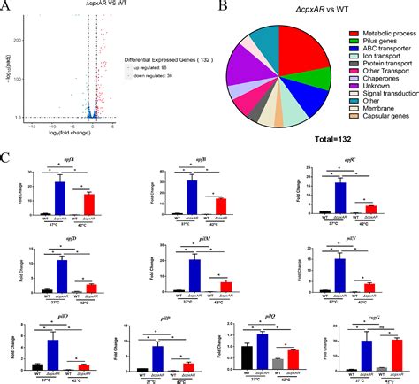 Cpxar Of Actinobacillus Pleuropneumoniae Contributes To Heat Stress