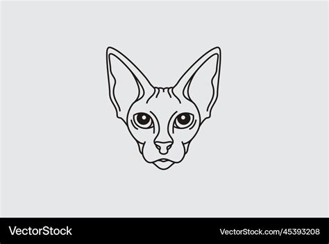 Sphynx Cat Sketch Drawing Coloring Black White Vector Image