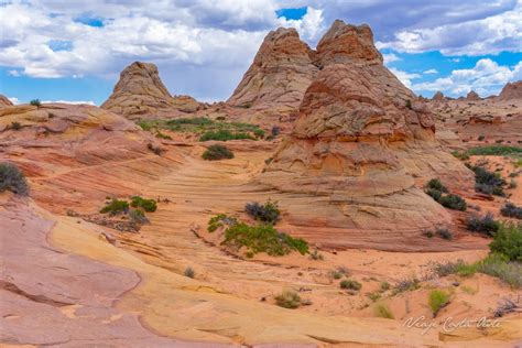 Como Visitar The Wave En Coyote Buttes Arizona