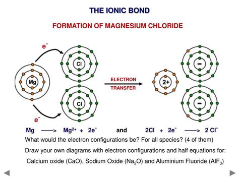 The Complete Guide To Understanding Sodium Chloride Dot And Cross Diagrams