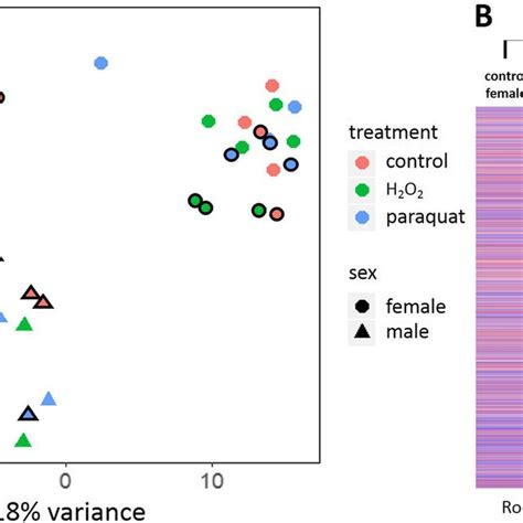 Volcano Plots Showing The Sex Biased Gene Expression Within Each Group