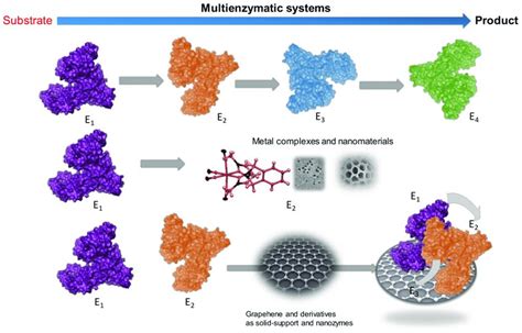 Enzyme Cascade Design CD Biosynsis