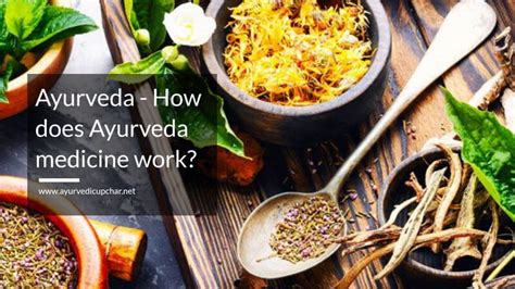 Ayurveda How Does Ayurveda Medicine Work Ayurvedic Upchar