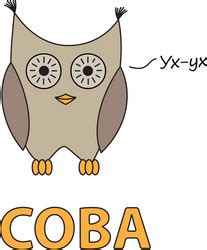 Owl Flashcard Vector Images (over 100)