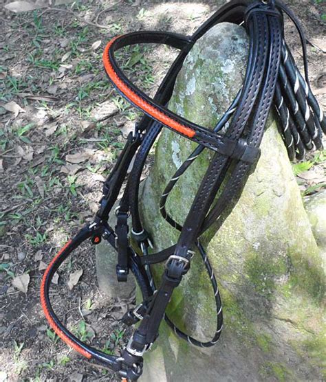 Handmade leather Trail or Show Bridle in eight leather colors with ...