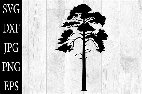 Pine Tree Silhouettes Pine Tree Svg Eps Graphic By Aleksa Popovic