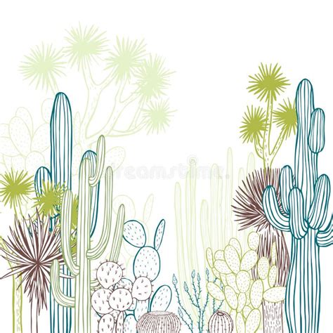 Desert Plants Cacti Vector Illustration Stock Vector Illustration Of Hand Collection 156897514