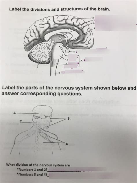 Cns Diagram Quizlet