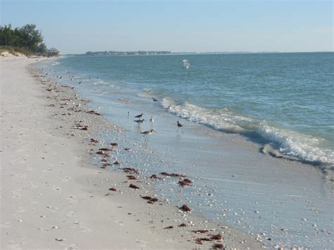 Don Pedro Island State Park In Cape Haze Visit Florida