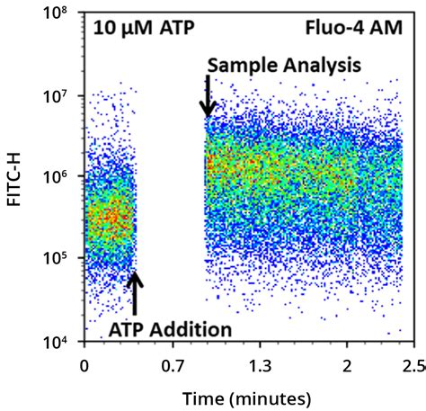 A New Robust Fluorescent Calcium Indicator For Ca2 Flux Assays In